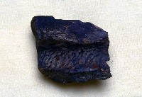 藏品(碎骨一塊)的圖片